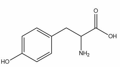 L-Tyrosine 